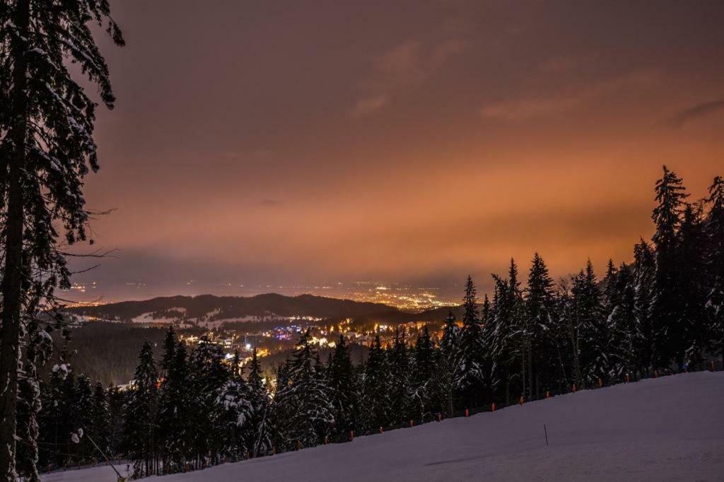 Gya Residence Brasov Bagian luar foto